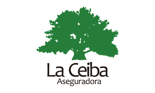 Seguros-Total-Source-00-11.png